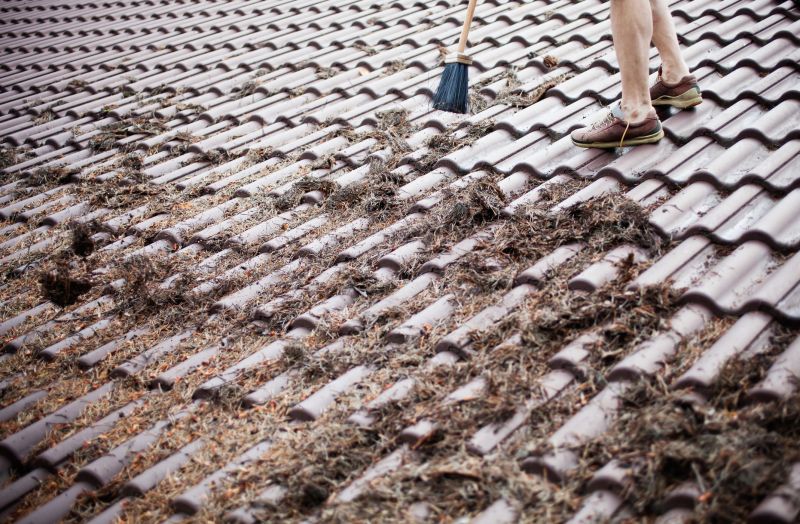 Seasonal Maintenance